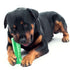 Dog Brushing Stick: The Revolutionary Way to Clean Your Dog¡¯s Teeth (Vet Recommended)