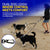 🔥Last Day: 50% OFF!🔥🐕Double Bungee Leash - 1st step training tool