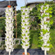 🌼Plant Festival Special 50% OFF-Stackable Planting Pots