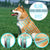 Flea and Tick Collar For Dogs & Cats