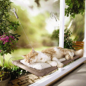 Sunny Seat Window Mounted Cat Bed