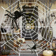 Halloween Giant Spider Web